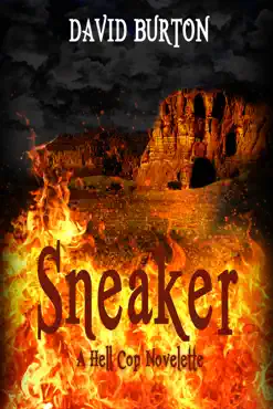 sneaker book cover image