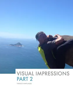 visual impressions - part 2 book cover image