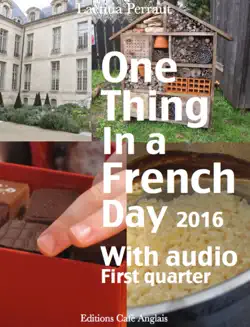 one thing in a french day book cover image