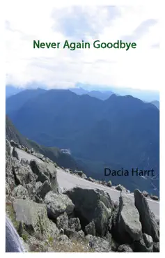 never again goodbye book cover image