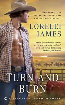 turn and burn book cover image
