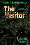 The Visitor sinopsis y comentarios