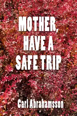 mother, have a safe trip book cover image