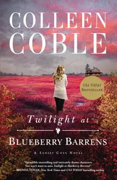 twilight at blueberry barrens book cover image