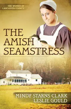 the amish seamstress book cover image