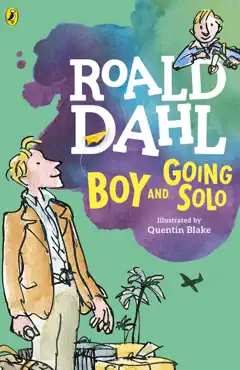 boy and going solo book cover image