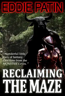 reclaiming the maze book cover image