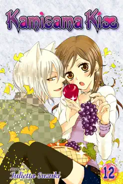 kamisama kiss, vol. 12 book cover image
