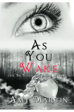 as you wake book cover image