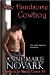 One Handsome Cowboy synopsis, comments