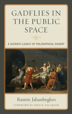gadflies in the public space book cover image