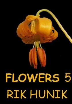 flowers 5 book cover image
