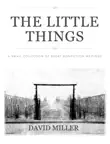 The Little Things synopsis, comments