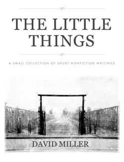 the little things book cover image