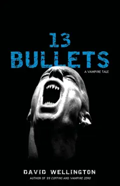 13 bullets book cover image