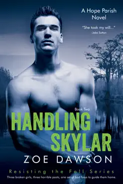 handling skylar book cover image