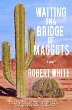 waiting on a bridge of maggots book cover image