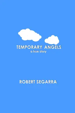 temporary angels book cover image