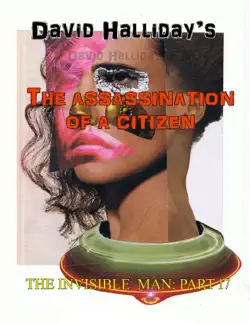 the assassination of a citizen book cover image