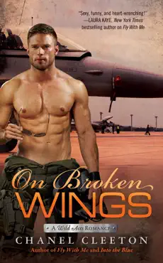 on broken wings book cover image