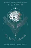 Black Dawn synopsis, comments