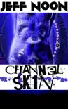 Channel Sk1n synopsis, comments