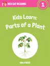 Kids Learn: Parts of a Plant