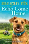 Echo Come Home synopsis, comments