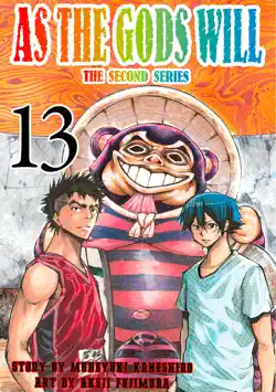as the gods will the second series volume 13 book cover image