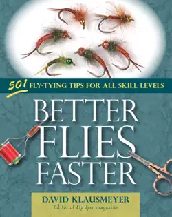 better flies faster book cover image
