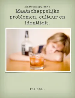 maatschappelijke problemen, cultuur en identiteit book cover image