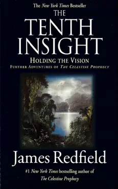 the tenth insight book cover image