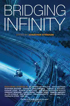 bridging infinity book cover image