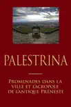 Palestrina synopsis, comments