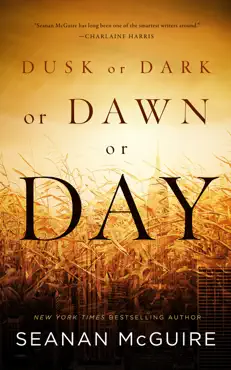dusk or dark or dawn or day book cover image