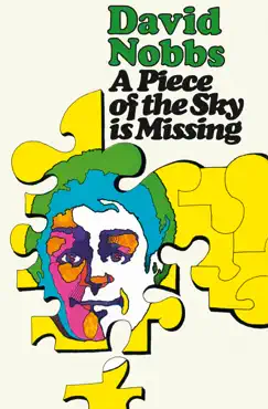 a piece of the sky is missing book cover image