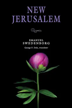 new jerusalem book cover image