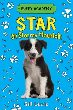 star on stormy mountain book cover image