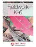 Fieldwork K-6 reviews