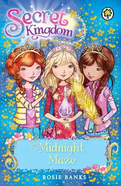 midnight maze book cover image