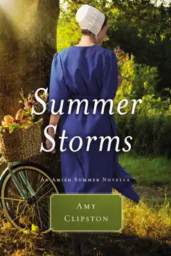 summer storms book cover image