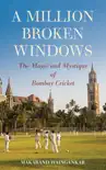 A Million Broken Windows synopsis, comments