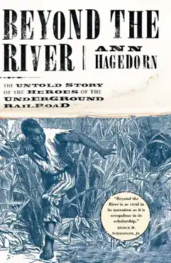 beyond the river book cover image