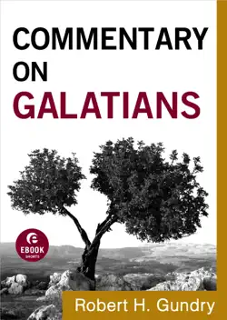 commentary on galatians book cover image