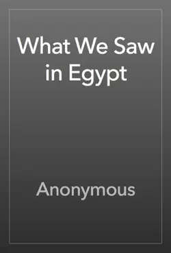 what we saw in egypt book cover image