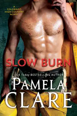 slow burn book cover image
