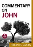 Commentary on John (Commentary on the New Testament Book #4) e-book