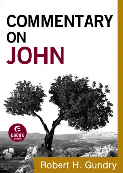 commentary on john (commentary on the new testament book #4) book cover image