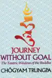 Journey Without Goal synopsis, comments