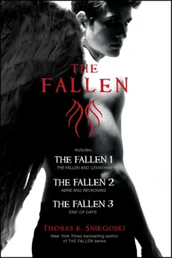 the fallen book cover image